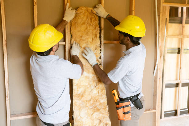 Best Insulation for New Construction  in Champion Heights, OH